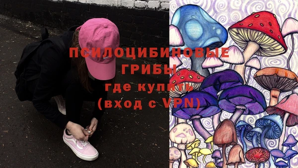 гидропоника Абдулино
