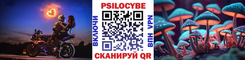 hydra ссылки  Краснодар  Псилоцибиновые грибы мухоморы 